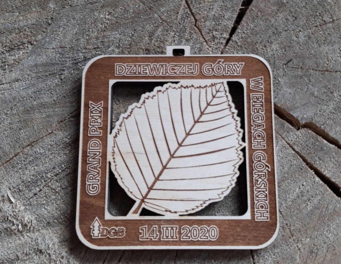 Projekt drewnianych medali 1678